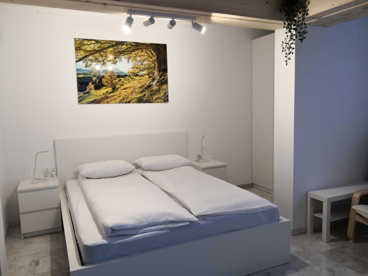 Willa Nika, Apartamenty Закопане Екстер'єр фото